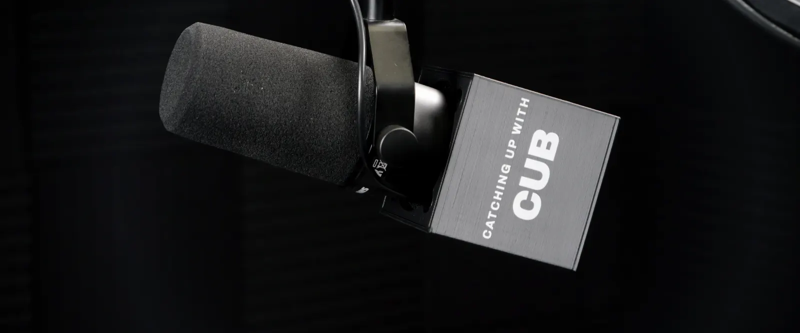 Branded Mic Cube mounted behind a studio microphone in an acoustically treated booth
